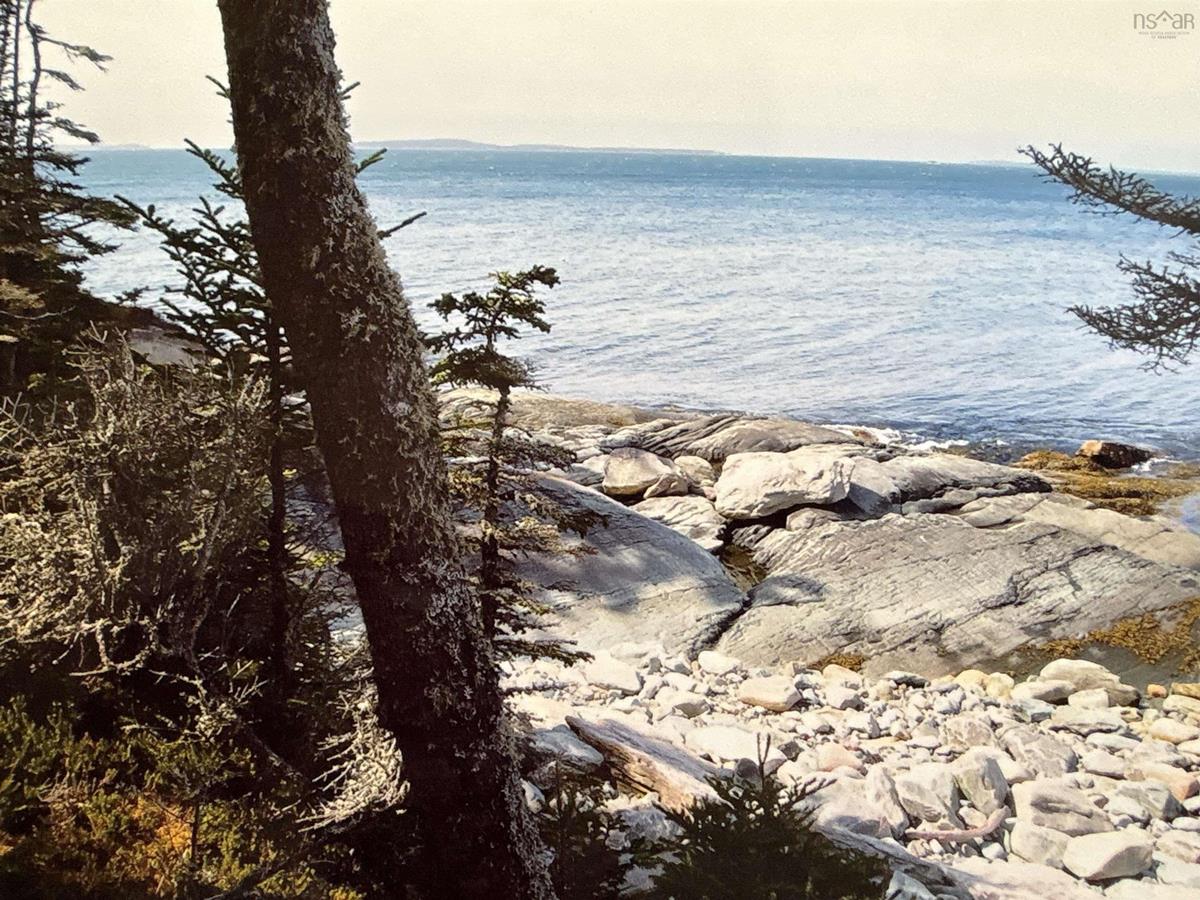  MLS ()