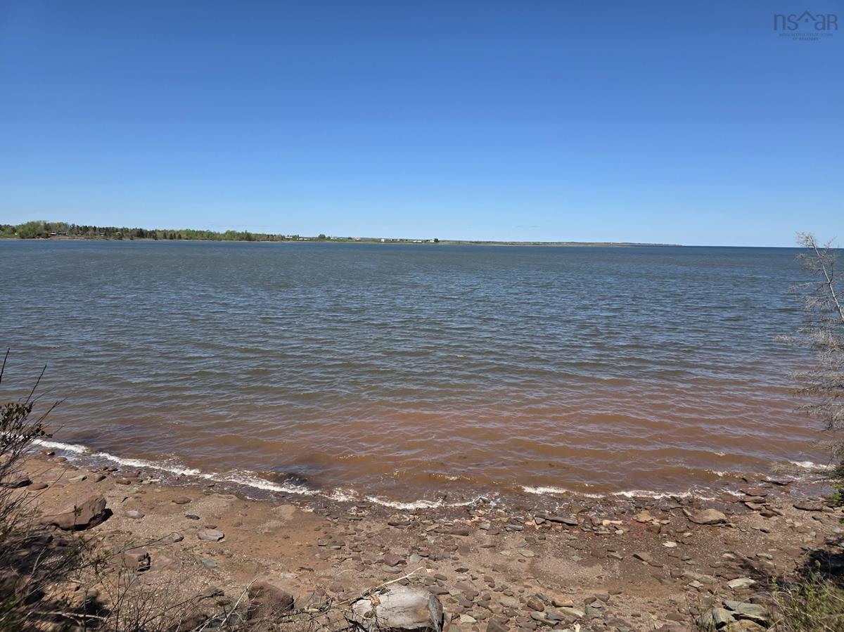  MLS ()