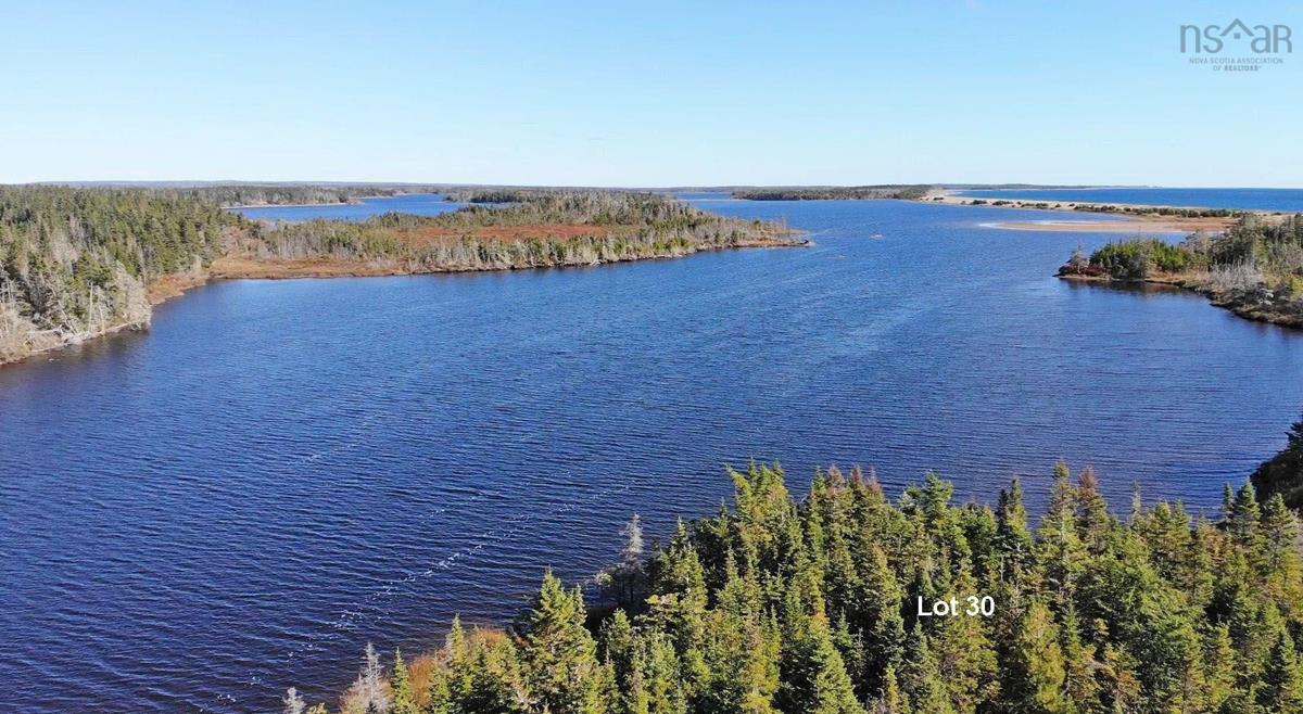  MLS ()
