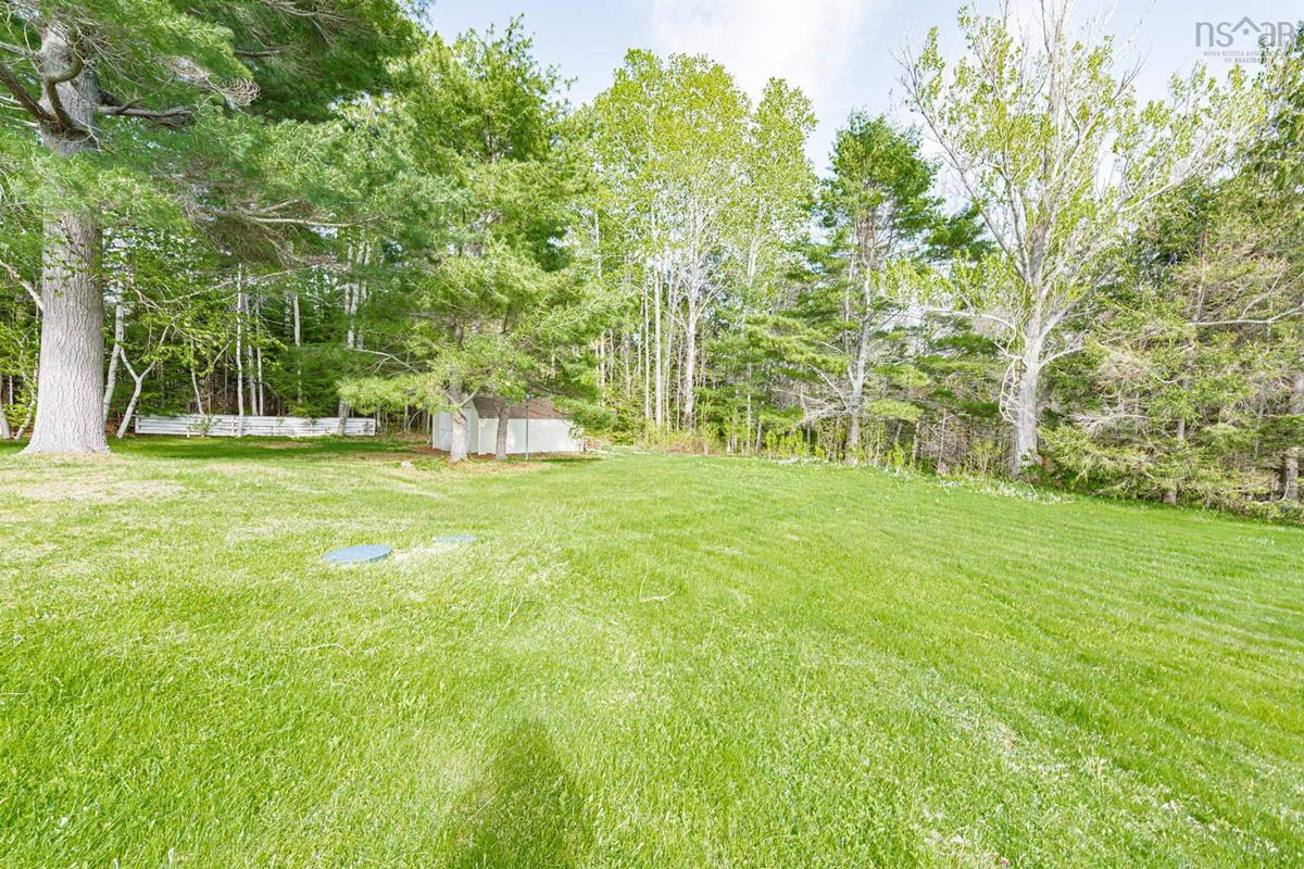  MLS ()