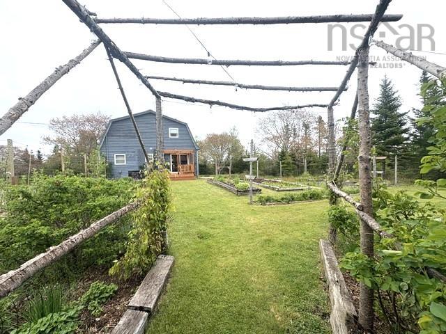  MLS ()