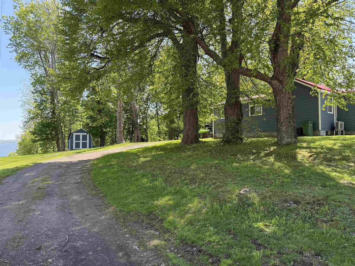  MLS ()