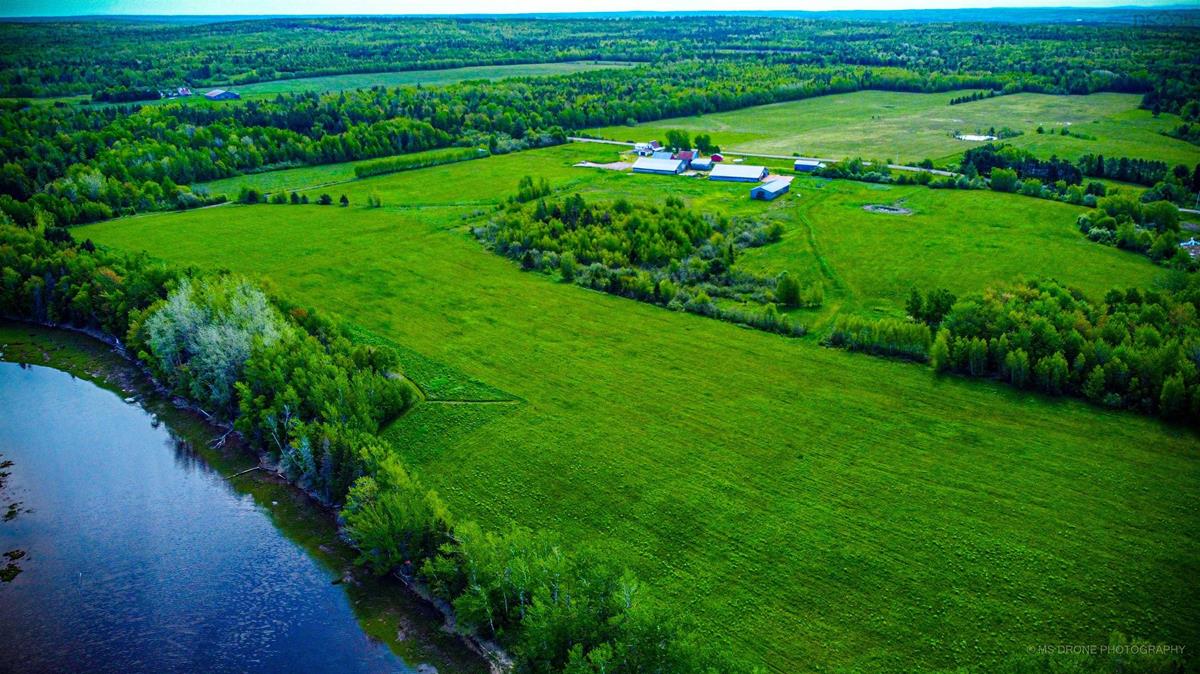  MLS ()
