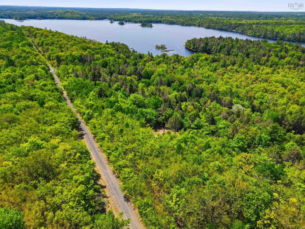  MLS ()