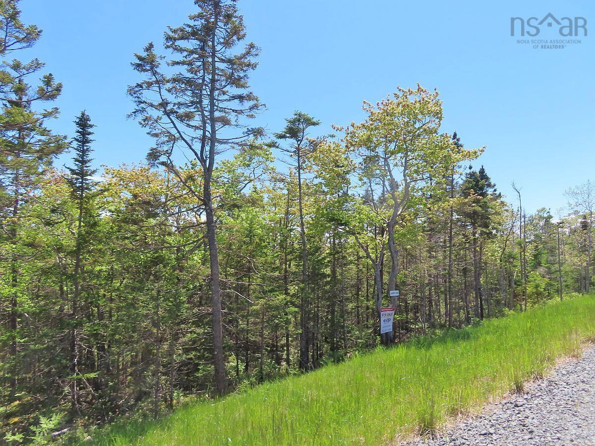  MLS ()