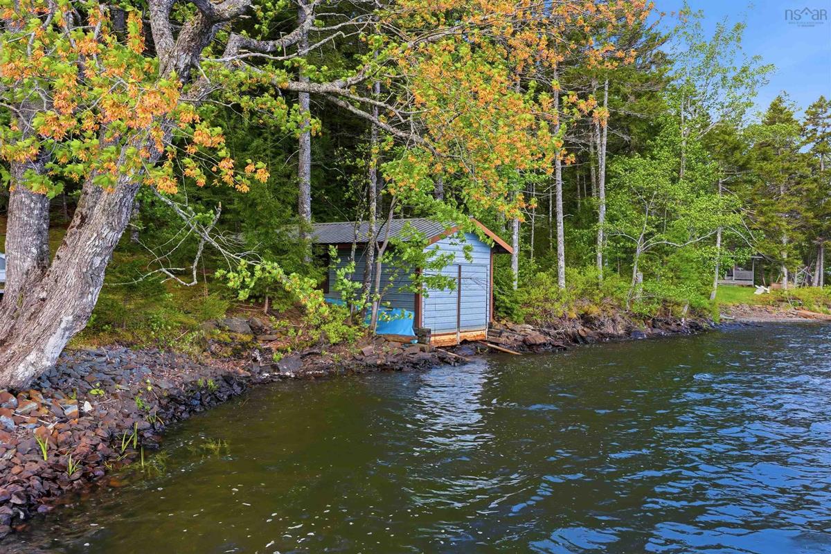  MLS ()