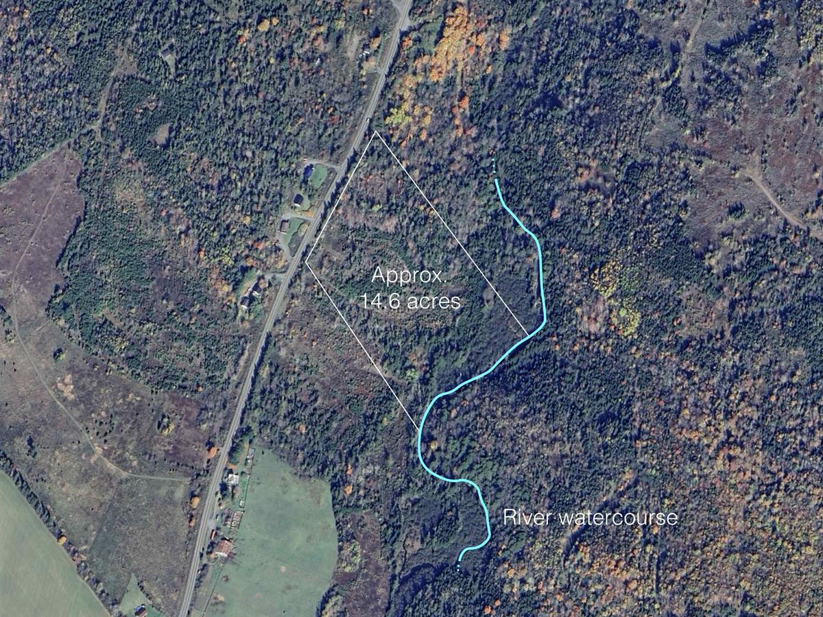  MLS ()
