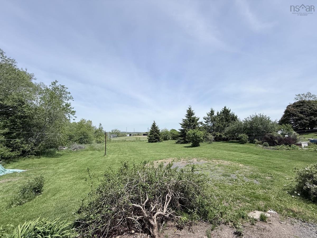  MLS ()