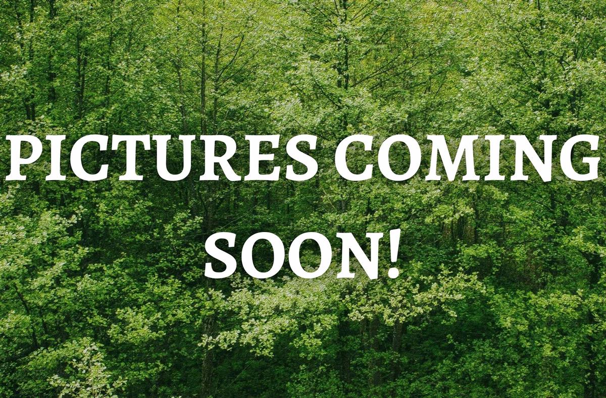  MLS ()