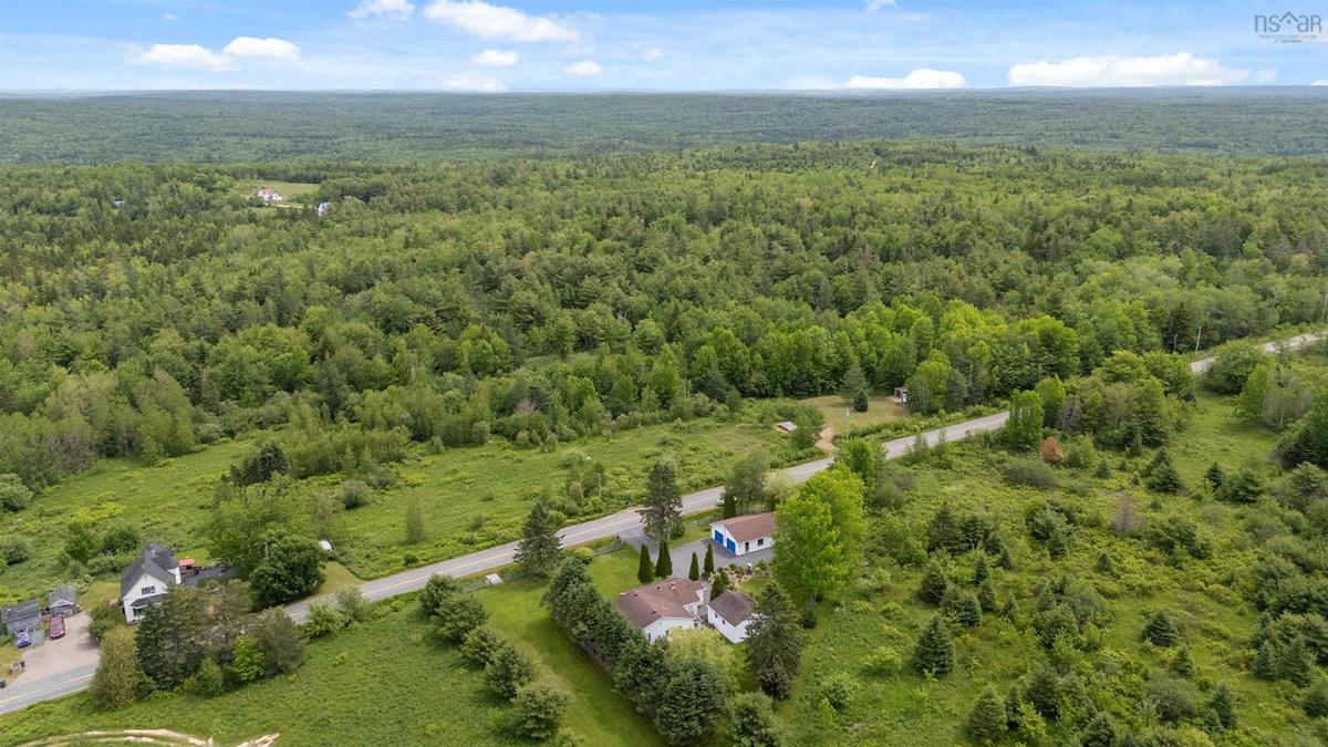  MLS ()