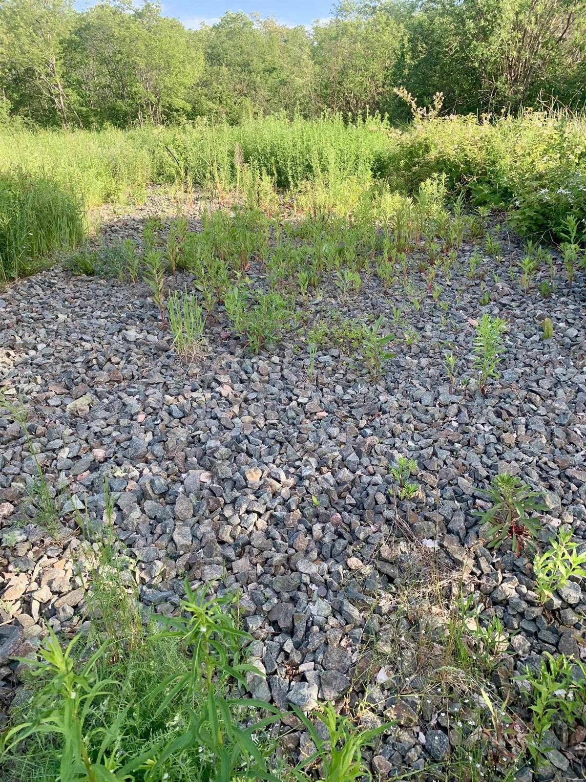  MLS ()