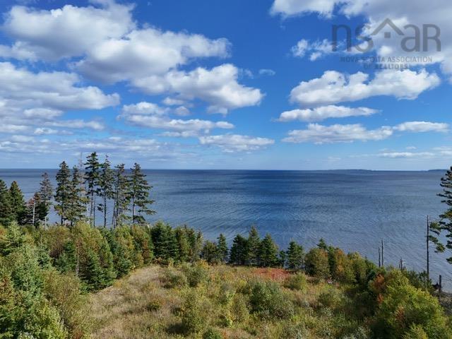  MLS ()