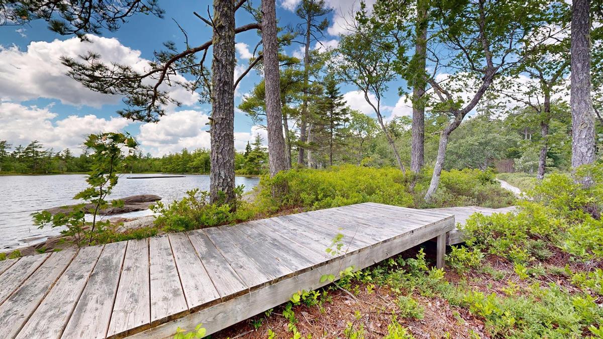  MLS ()