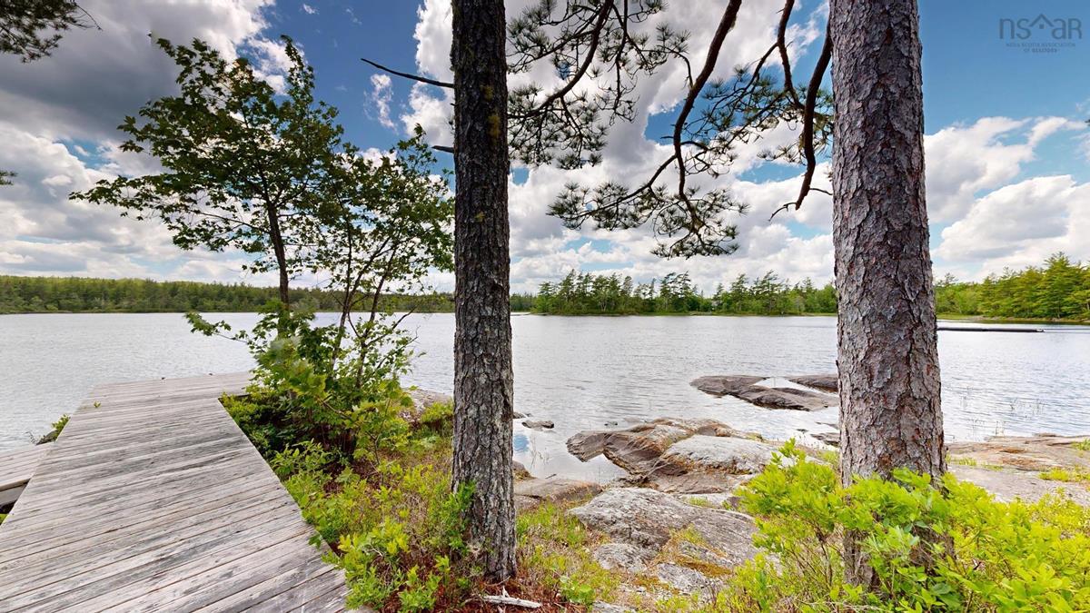  MLS ()