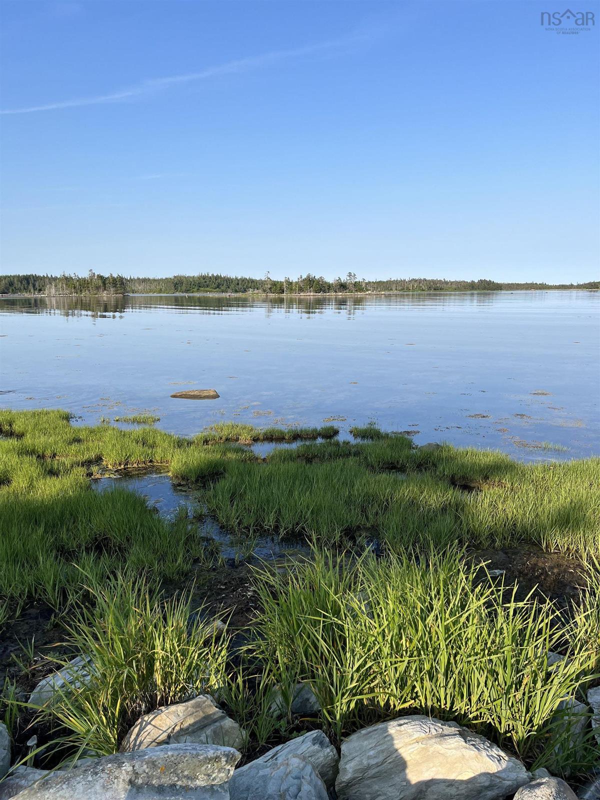  MLS ()