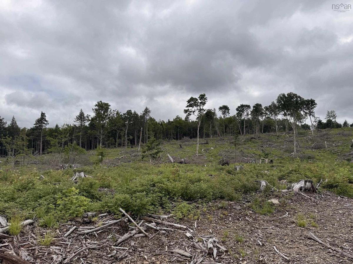  MLS ()