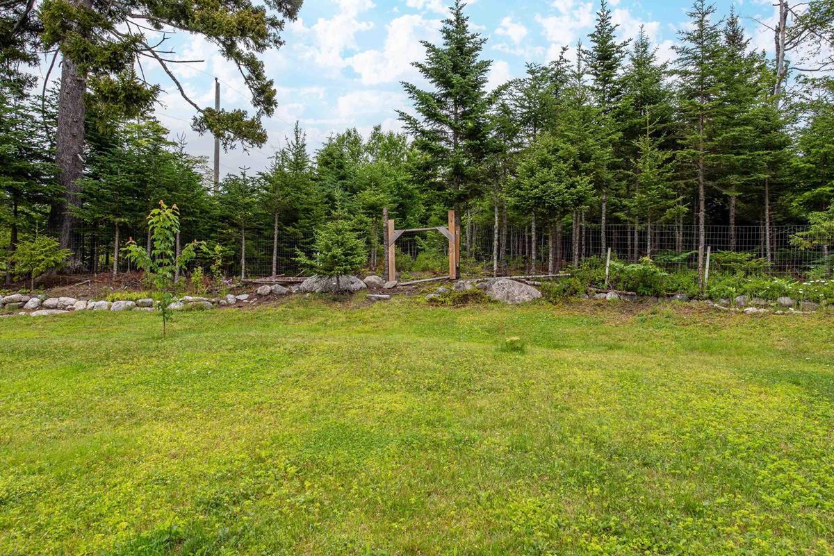  MLS ()