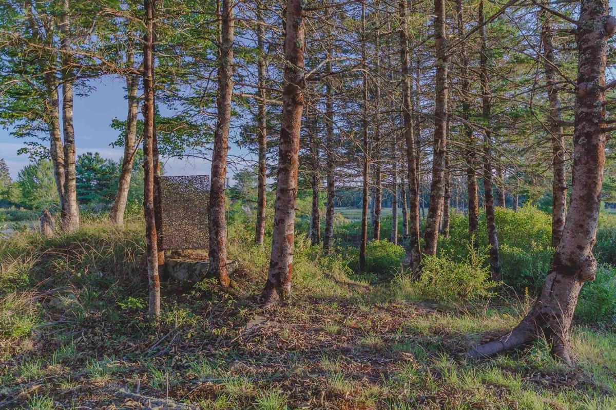  MLS ()