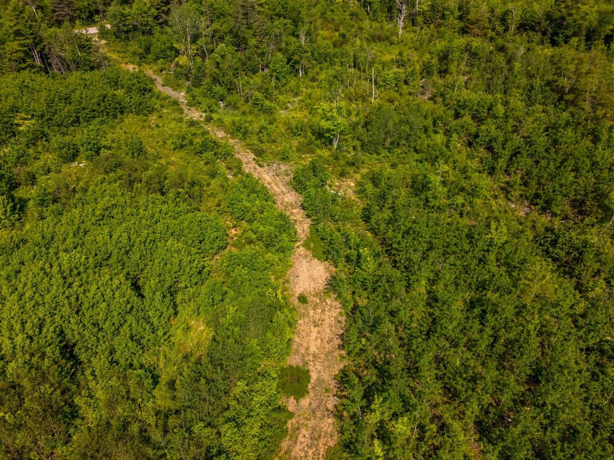 MLS ()