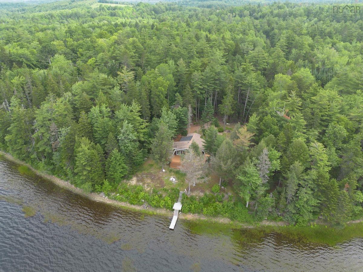  MLS ()