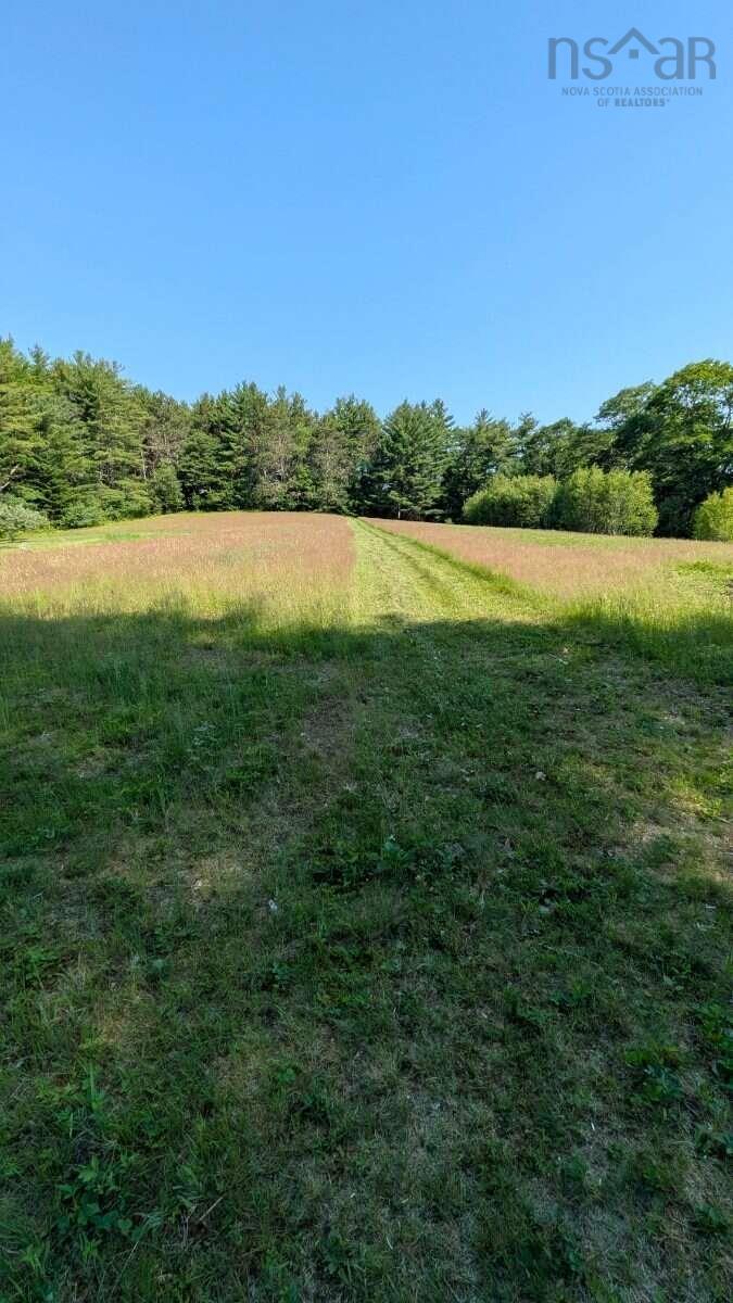 MLS ()