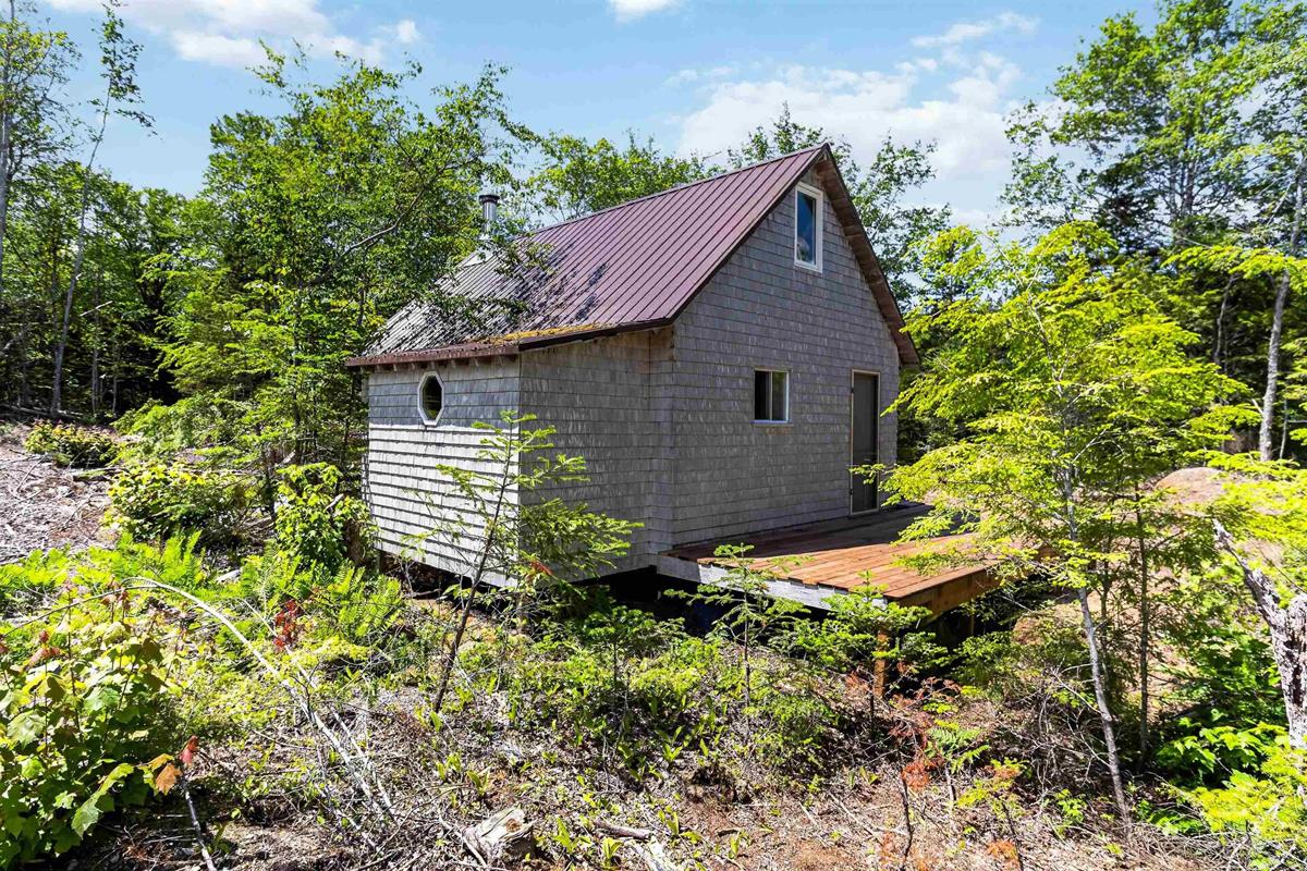  MLS ()