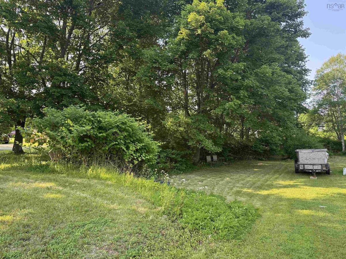  MLS ()
