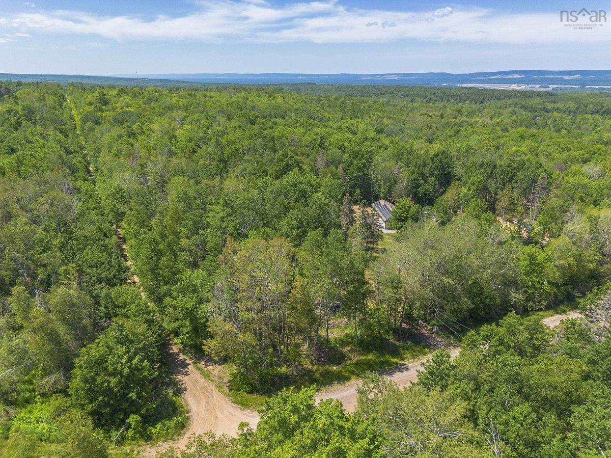 MLS ()