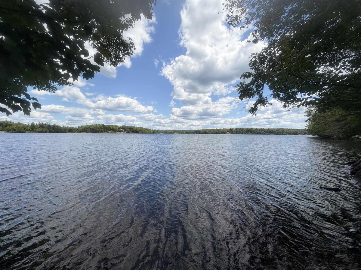  MLS ()