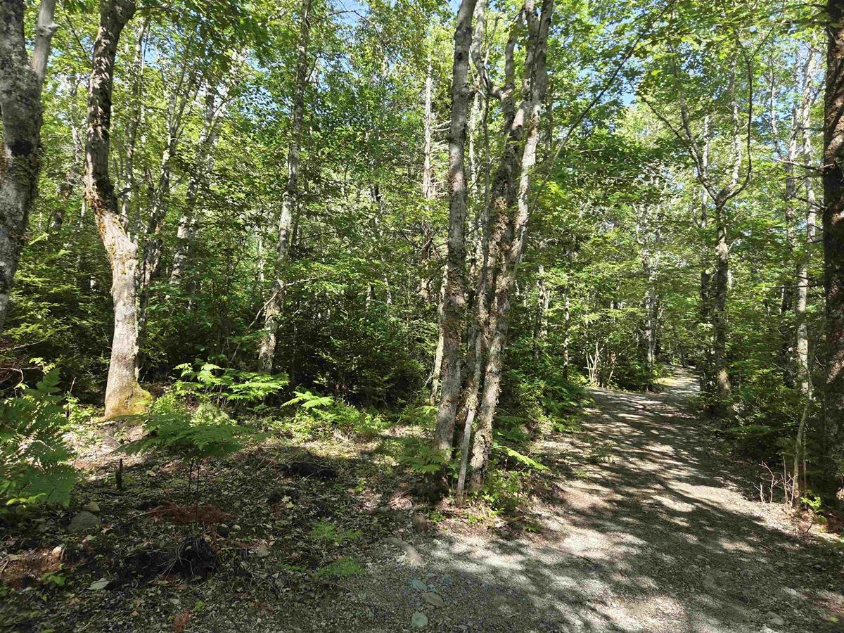  MLS ()