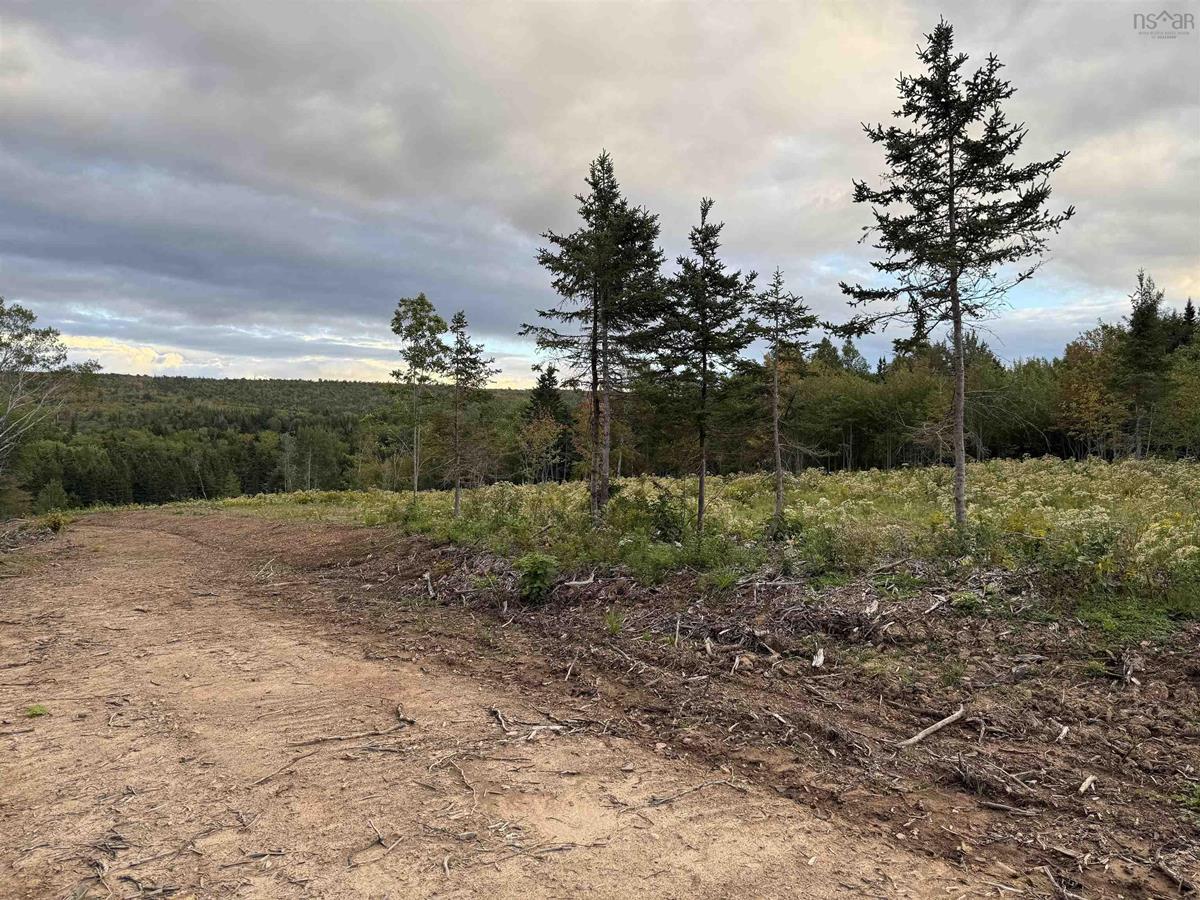  MLS ()