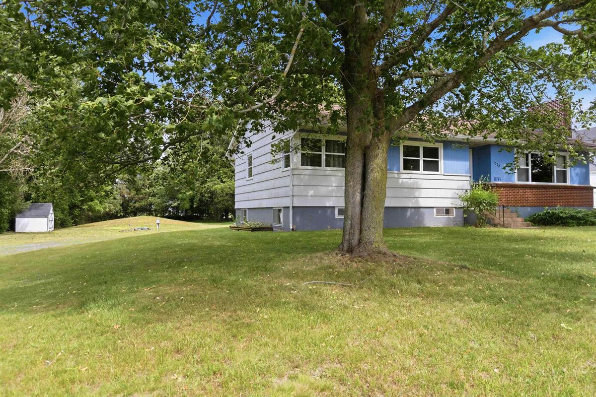  MLS ()