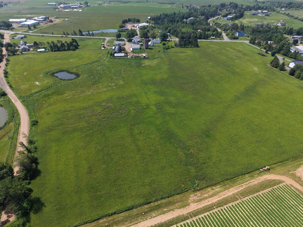  MLS ()