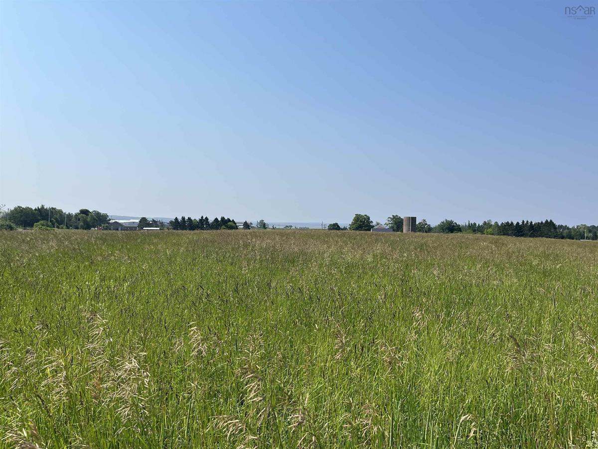  MLS ()