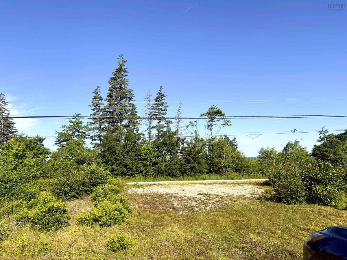  MLS ()