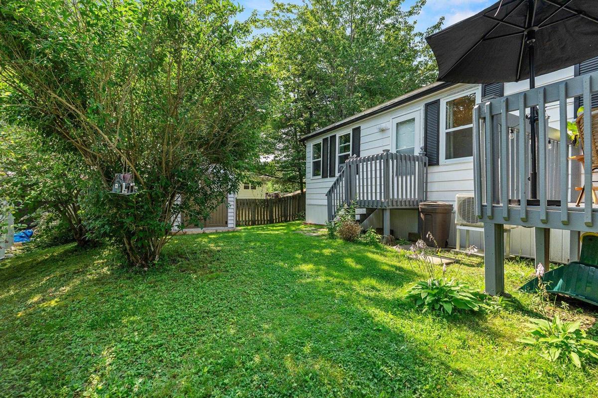  MLS ()