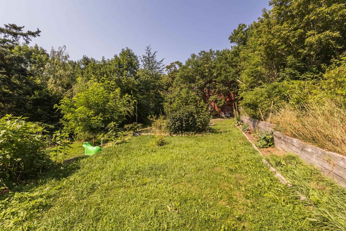  MLS ()