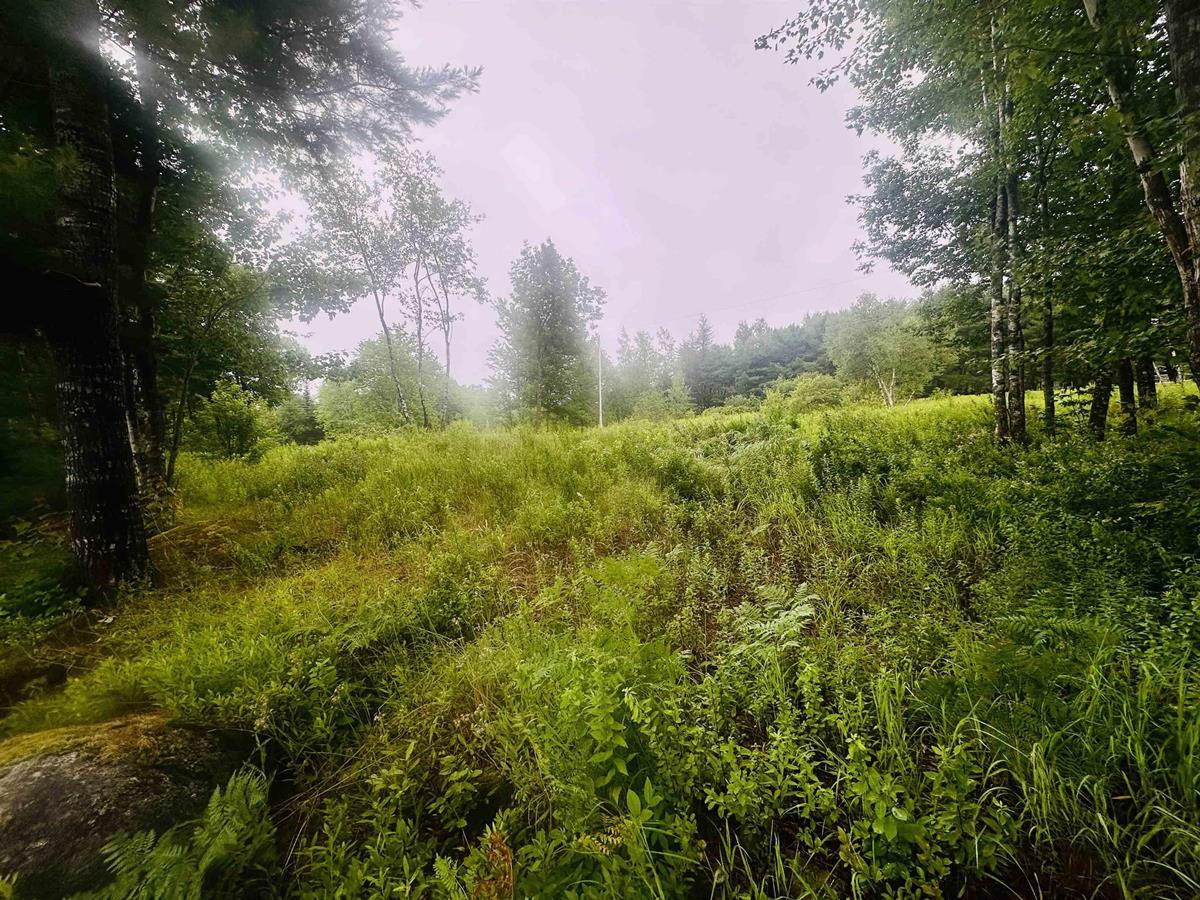  MLS ()
