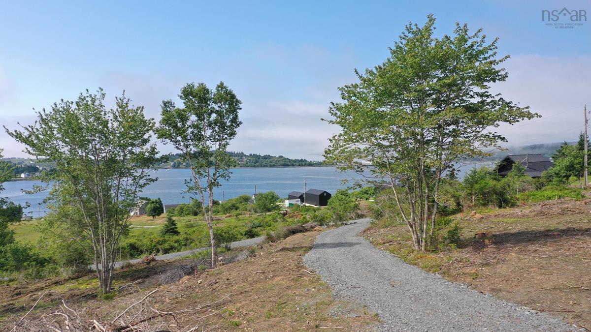 MLS ()