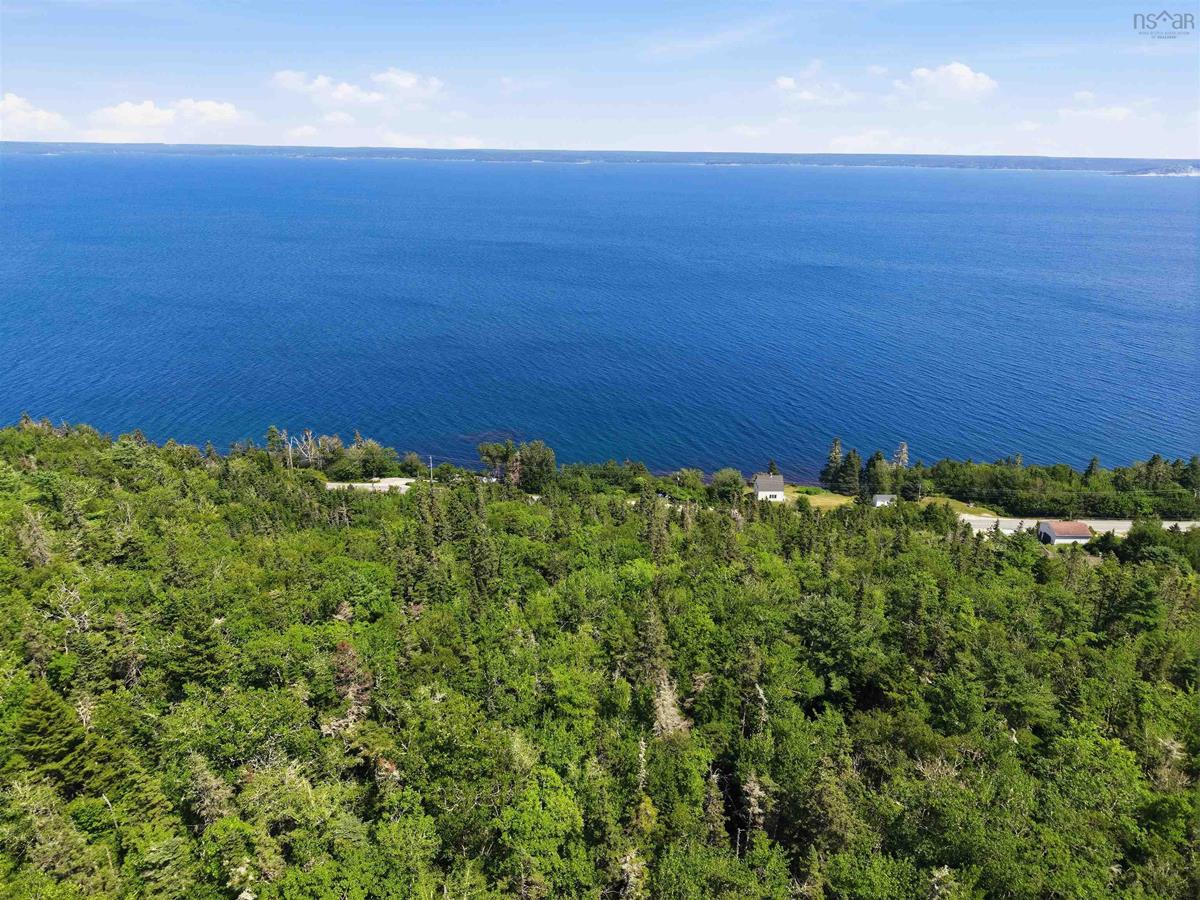  MLS ()