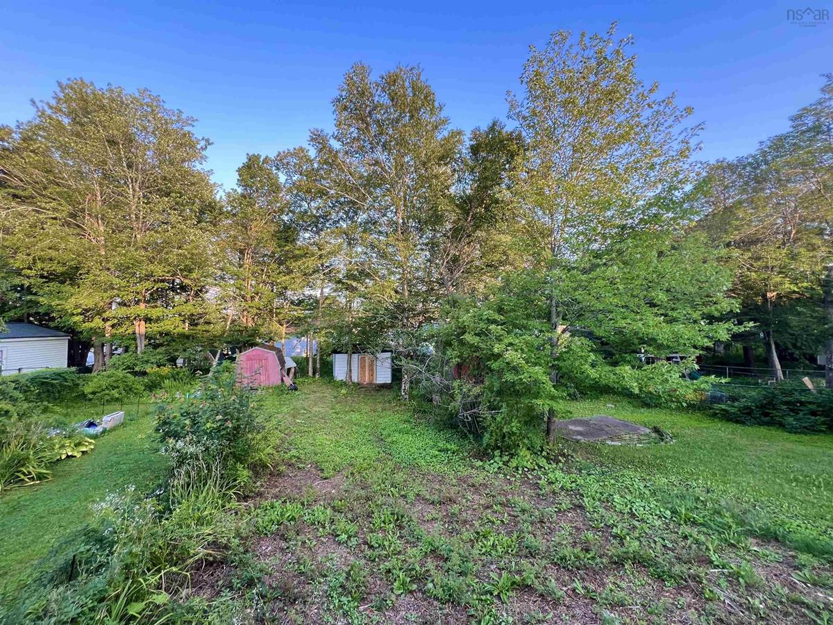  MLS ()