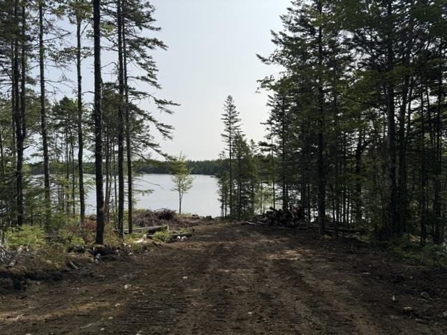  MLS ()