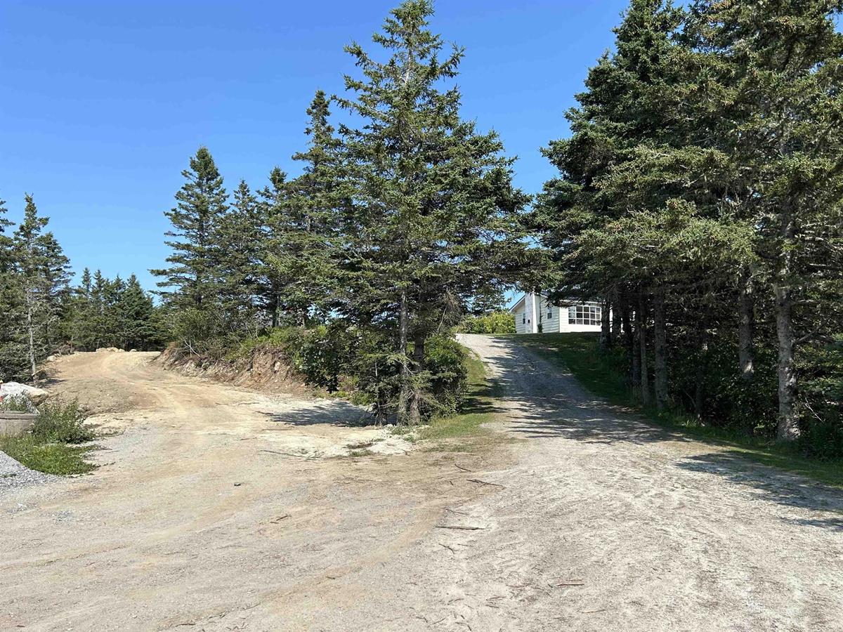 MLS ()