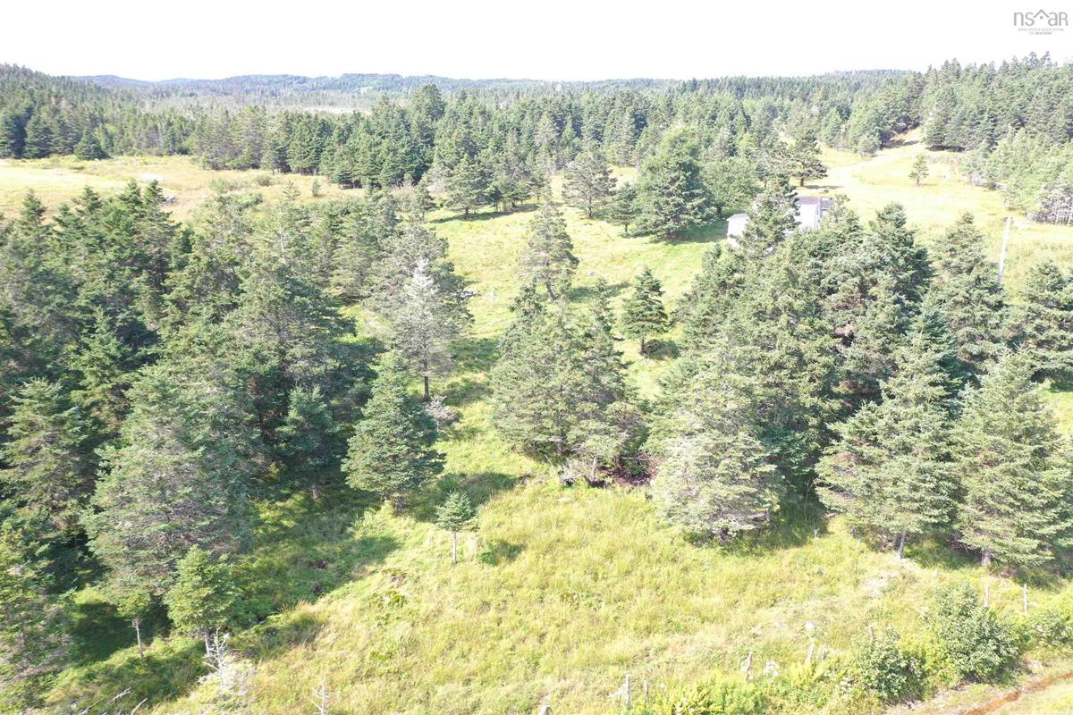  MLS ()