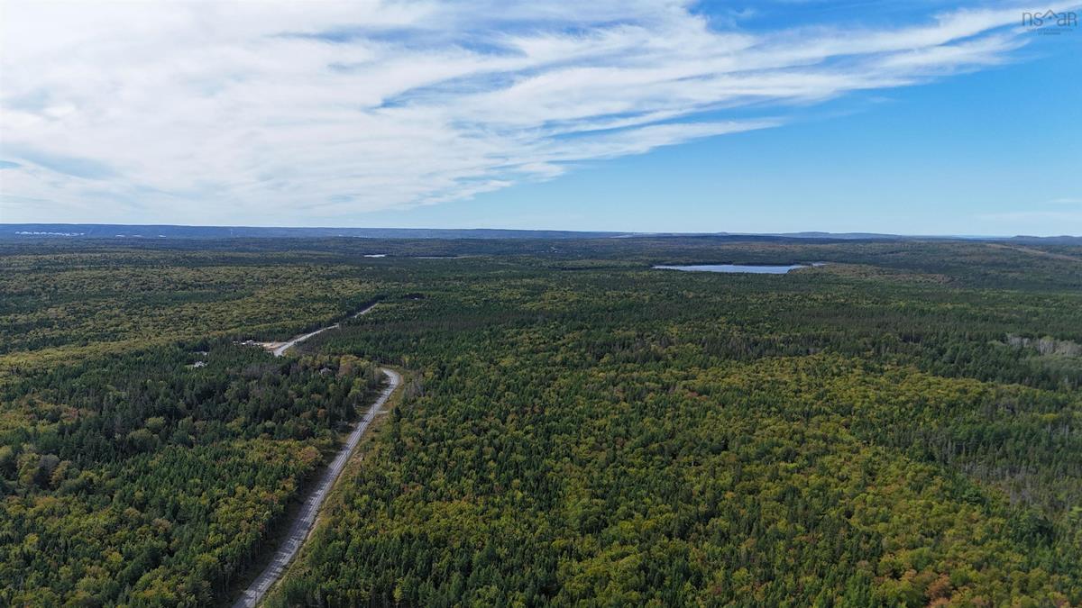  MLS ()