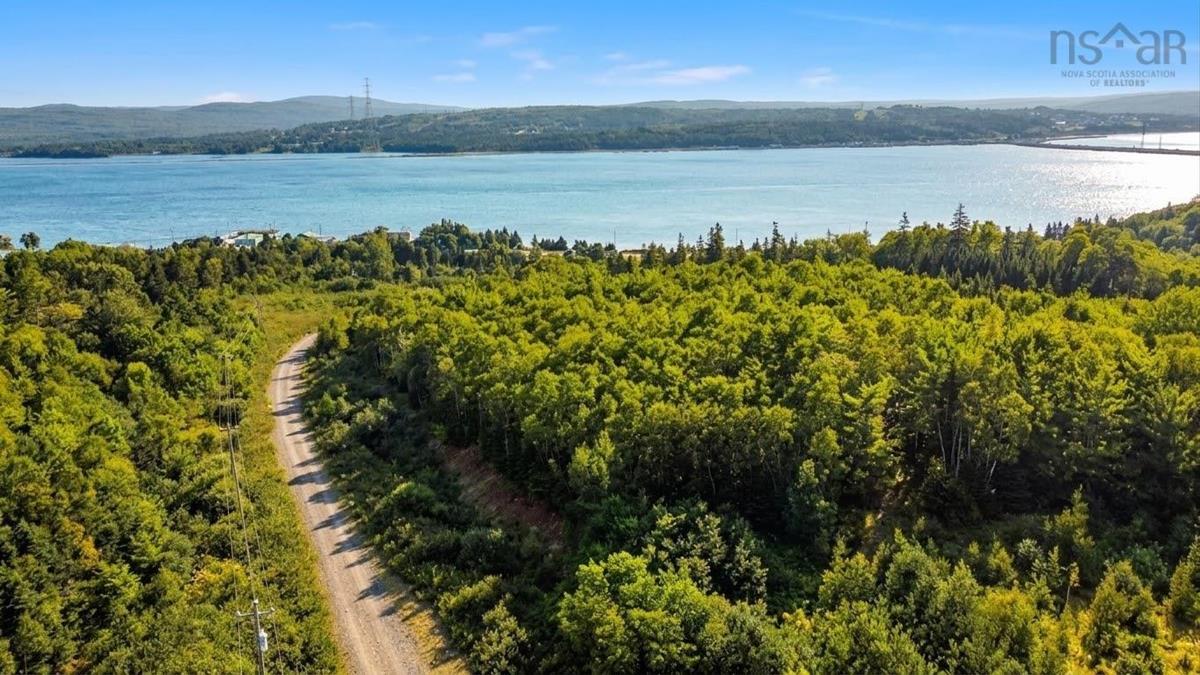  MLS ()