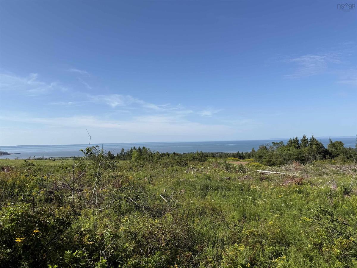  MLS ()