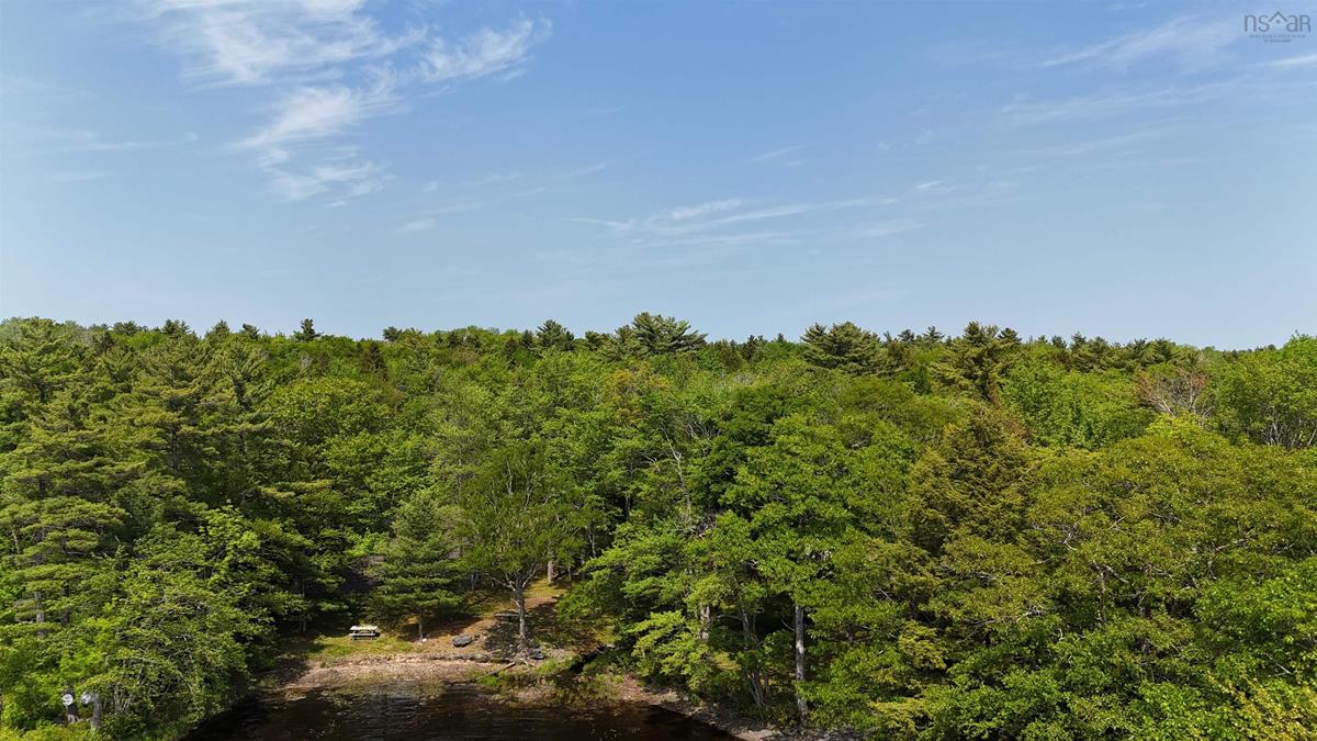  MLS ()