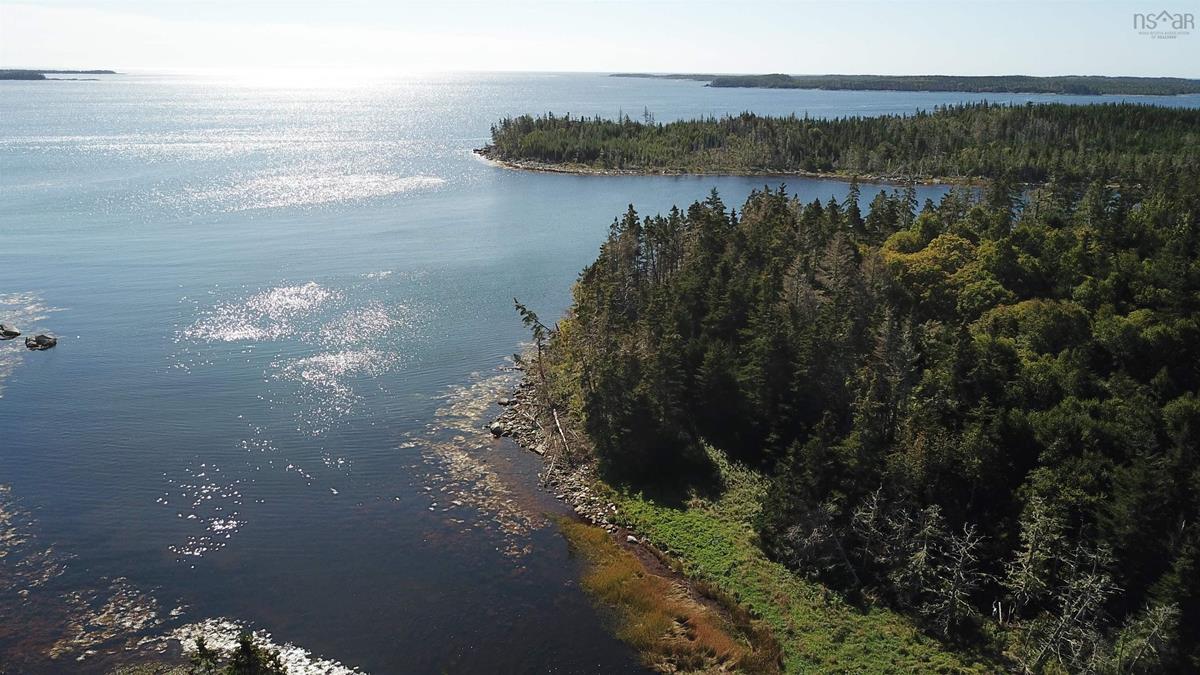  MLS ()