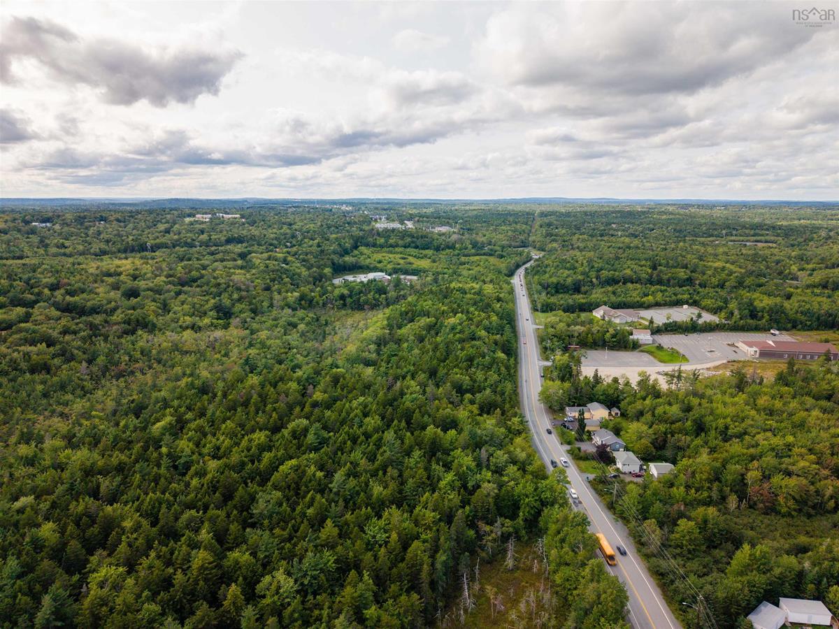  MLS ()